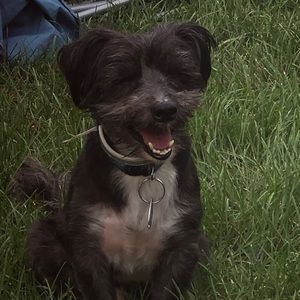 Meet your Posher, Shanida